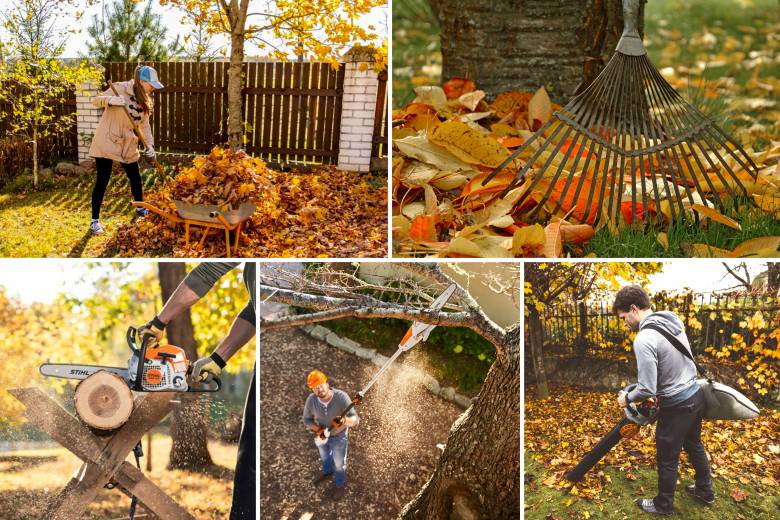 Златна есен в градината: Поддръжка и подготовка преди студените месеци - част 1